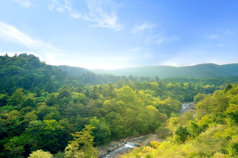 シェルターガーデン日光