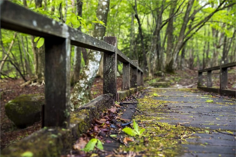峰山高原 ホテルリラクシア