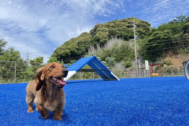 浜名湖わんわんパラダイスホテル