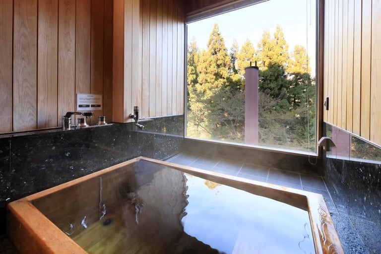 ゆとりろ越後湯沢