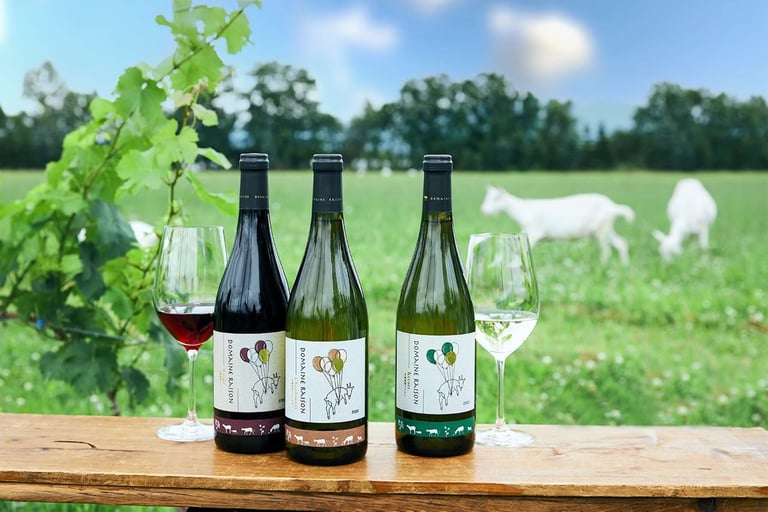 ホテル＆コンドミニアム 一花【HITOHANA】